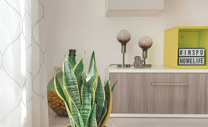 Riorganizzare la scrivania: le lampade giuste per farlo con stile - Creative Cables