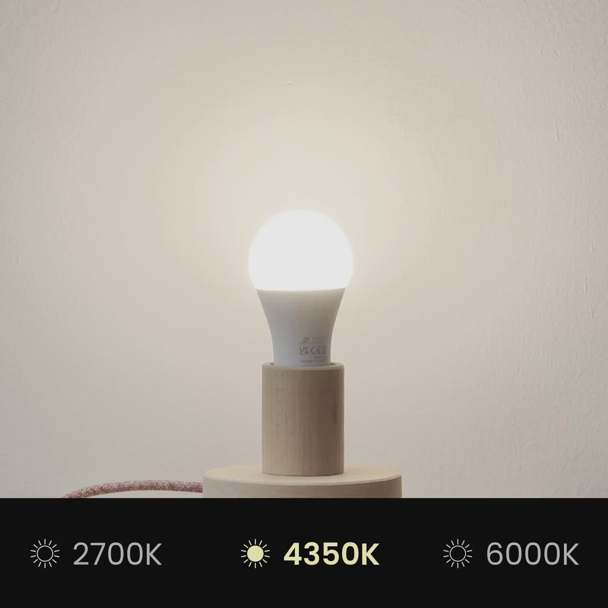 Load video: Athena lampshade with E27 fitting for table lamp - Made in Italy - Cinette black with gold interior